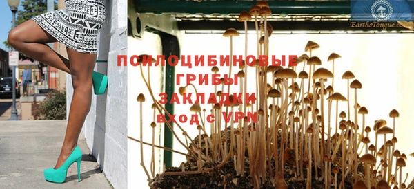 а пвп мука Верхний Тагил