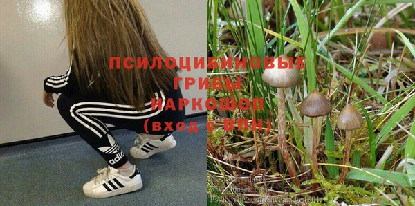 а пвп мука Верхний Тагил