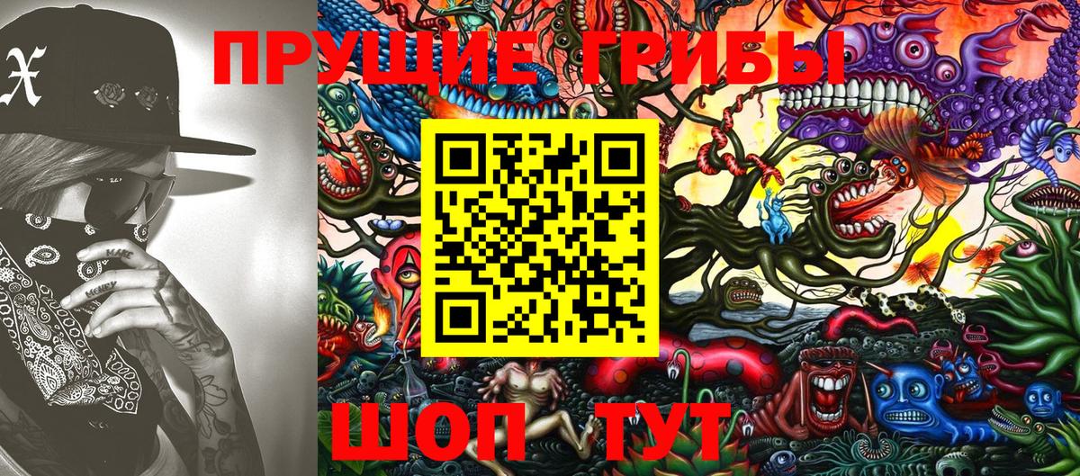 Снежинск  Псилоцибиновые грибы MAGIC MUSHROOMS  Вход с VPN  Псилоцибиновые грибы GOLDEN TEACHER 